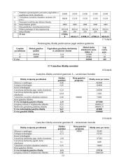Verslo plano ekonominiai skaičiavimai 13 puslapis
