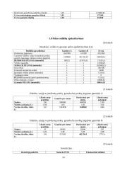 Verslo plano ekonominiai skaičiavimai 14 puslapis