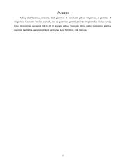 Verslo plano ekonominiai skaičiavimai 17 puslapis