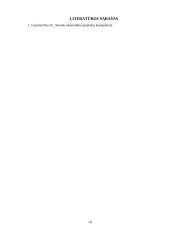 Verslo plano ekonominiai skaičiavimai 18 puslapis