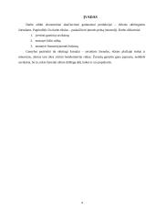 Verslo plano ekonominiai skaičiavimai 4 puslapis