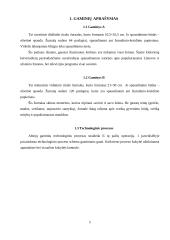 Verslo plano ekonominiai skaičiavimai 5 puslapis