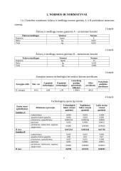 Verslo plano ekonominiai skaičiavimai 7 puslapis