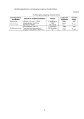 Verslo plano ekonominiai skaičiavimai 8 puslapis