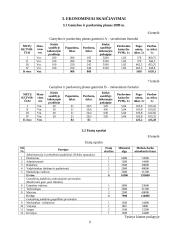 Verslo plano ekonominiai skaičiavimai 9 puslapis