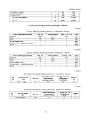 Verslo plano ekonominiai skaičiavimai 10 puslapis