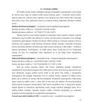 Verslo rizikos analizė: "Nokia Corporation" 11 puslapis