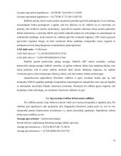 Verslo rizikos analizė: "Nokia Corporation" 12 puslapis