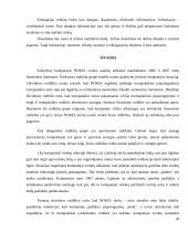 Verslo rizikos analizė: "Nokia Corporation" 20 puslapis