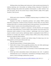 Verslo rizikos analizė: "Nokia Corporation" 9 puslapis