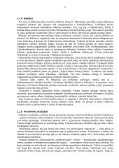 Verslo socialinės ir kultūrinės aplinkos Vokietijoje apžvalga 6 puslapis