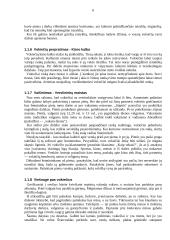 Verslo socialinės ir kultūrinės aplinkos Vokietijoje apžvalga 7 puslapis