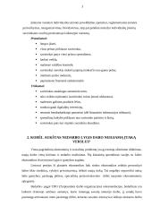 Individualios įmonės, nedarbas ir konkurencija 4 puslapis