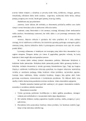 Individualios įmonės, nedarbas ir konkurencija 5 puslapis