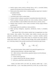 Individualios įmonės, nedarbas ir konkurencija 6 puslapis