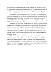 Individualios įmonės, nedarbas ir konkurencija 10 puslapis