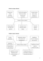 Verslas, verslininkystė ir verslumas 3 puslapis