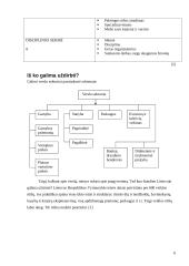 Verslas, verslininkystė ir verslumas 6 puslapis