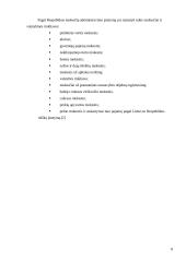 Verslas, verslininkystė ir verslumas 8 puslapis