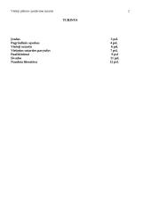 Viešoji pirkimo-pardavimo sutartis 2 puslapis