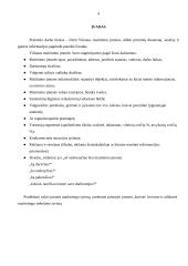 Vilniaus maitinimo įmonių analizė 4 puslapis