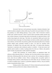 Visuminė paklausa. Valstybės skola 4 puslapis