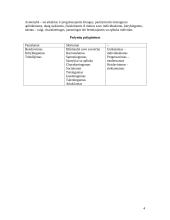 Visuomenės institucijų paskaitų užduotus 5 puslapis