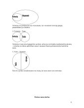 Visuomenės institucijų paskaitų užduotus 9 puslapis
