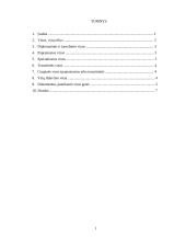 Vizos, vizų rūšys 2 puslapis