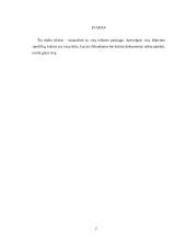 Vizos, vizų rūšys 3 puslapis