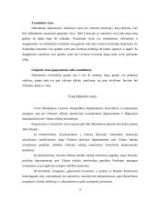 Vizos, vizų rūšys 5 puslapis