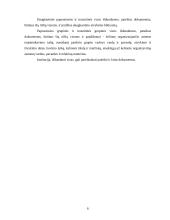 Vizos, vizų rūšys 7 puslapis