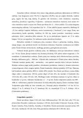 Žemė ir jos atradimo ypatybės 2 puslapis