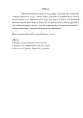 Žemės sklypo ribų paženklinimas vietovėje 2 puslapis