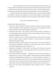 Žemės sklypo ribų paženklinimas vietovėje 4 puslapis