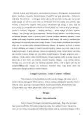 Žmogus ir jo kūnas - kūnas ir asmens realumas 5 puslapis