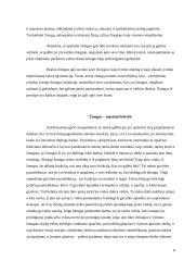 Žmogus ir jo kūnas - kūnas ir asmens realumas 6 puslapis