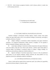 Darbuotojų saugos įstatymai, darbo higiena bei sauga 12 puslapis