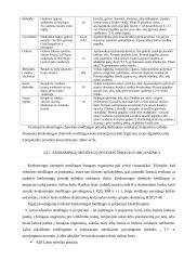 Darbuotojų saugos įstatymai, darbo higiena bei sauga 7 puslapis