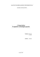 Žvaigždutės technologinė gamyba