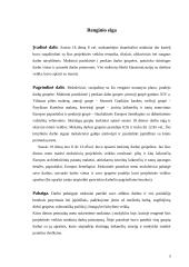 Auklėjamasis renginys: "Europa nuo senovės iki dabarties" 3 puslapis