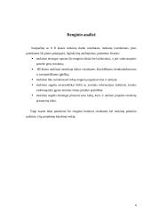 Auklėjamasis renginys: "Europa nuo senovės iki dabarties" 4 puslapis