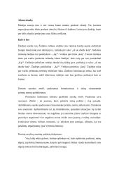 Auklėjamojo renginio išplėstinis planas: "Meilė ir padorumas – kas juos sieja ir kas skiria?" 4 puslapis