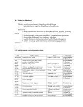 Auklėjamosios veiklos planas 2 puslapis