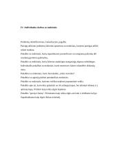 Auklėjamosios veiklos planas 4 puslapis