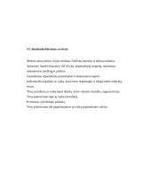 Auklėjamosios veiklos planas 6 puslapis