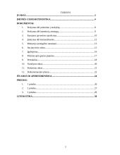 Charakteristika ir veiklos dokumentai: Elektrėnų gimnazija "Versmė" 2 puslapis