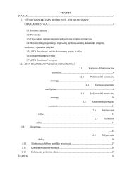 Charakteristika ir veiklos dokumentai: UAB "BTA Draudimas" 2 puslapis