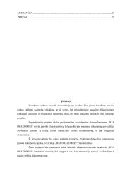 Charakteristika ir veiklos dokumentai: UAB "BTA Draudimas" 3 puslapis