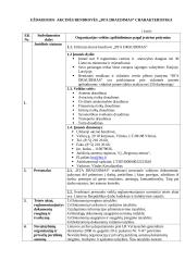 Charakteristika ir veiklos dokumentai: UAB "BTA Draudimas" 4 puslapis